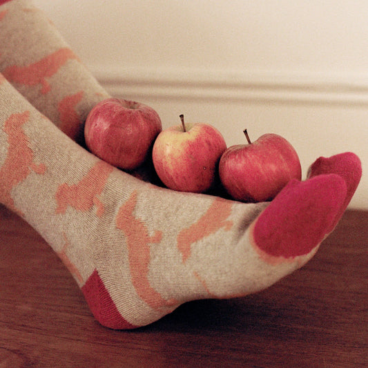 Ladies Lambswool Knee High Socks with Sausage Dogs Styled